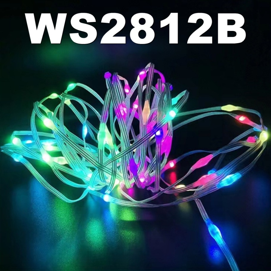WS2812B LED chaîne lumineuse i - Led Fairy String Lights avis et prix